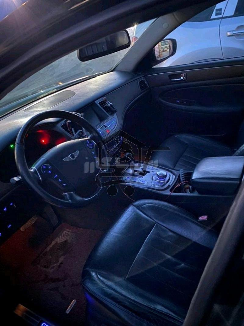 جينيسيس - Genesis 2010 - الصورة 5