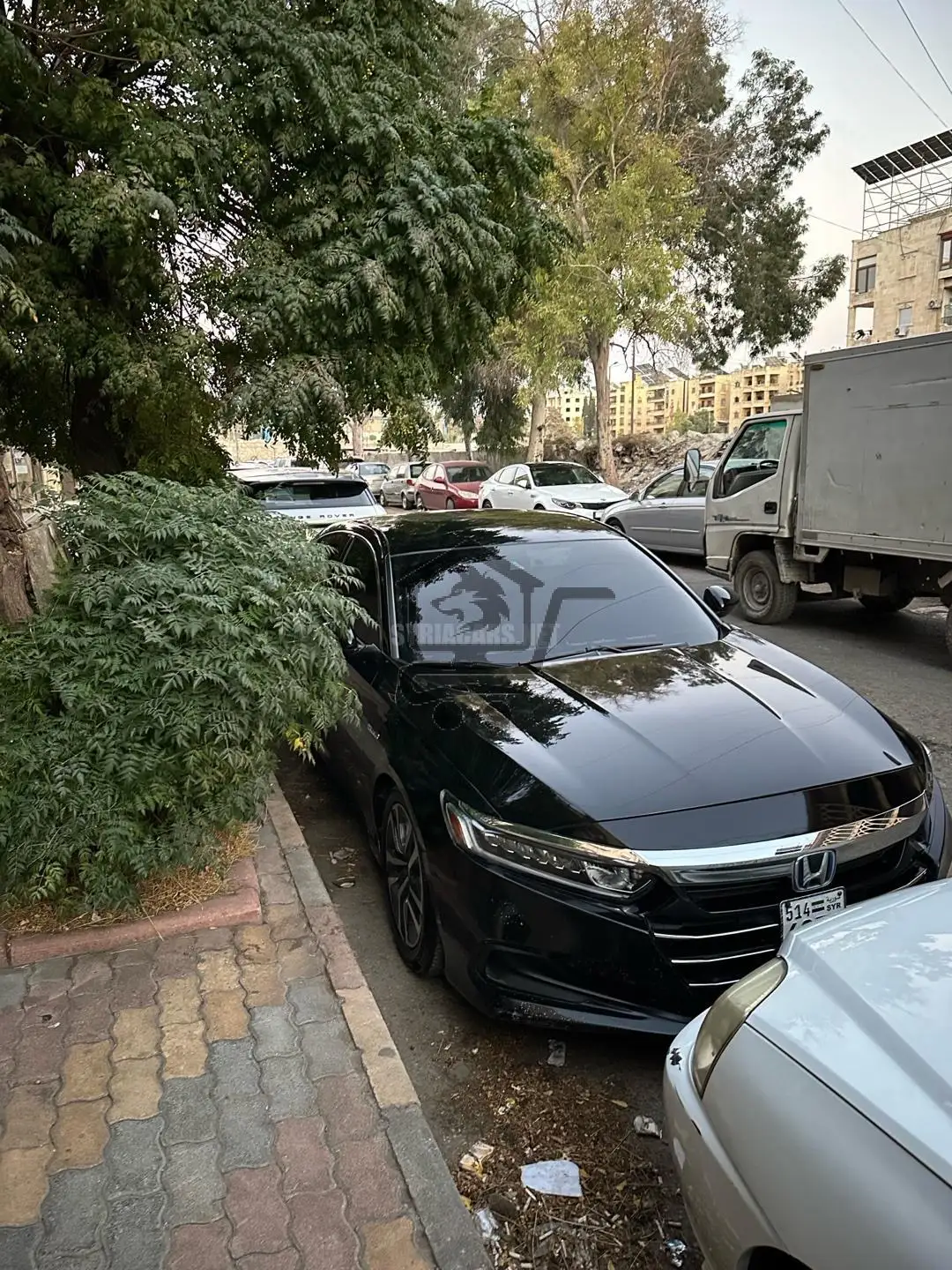 هوندا - Honda اكورد - Accord - الصورة 2