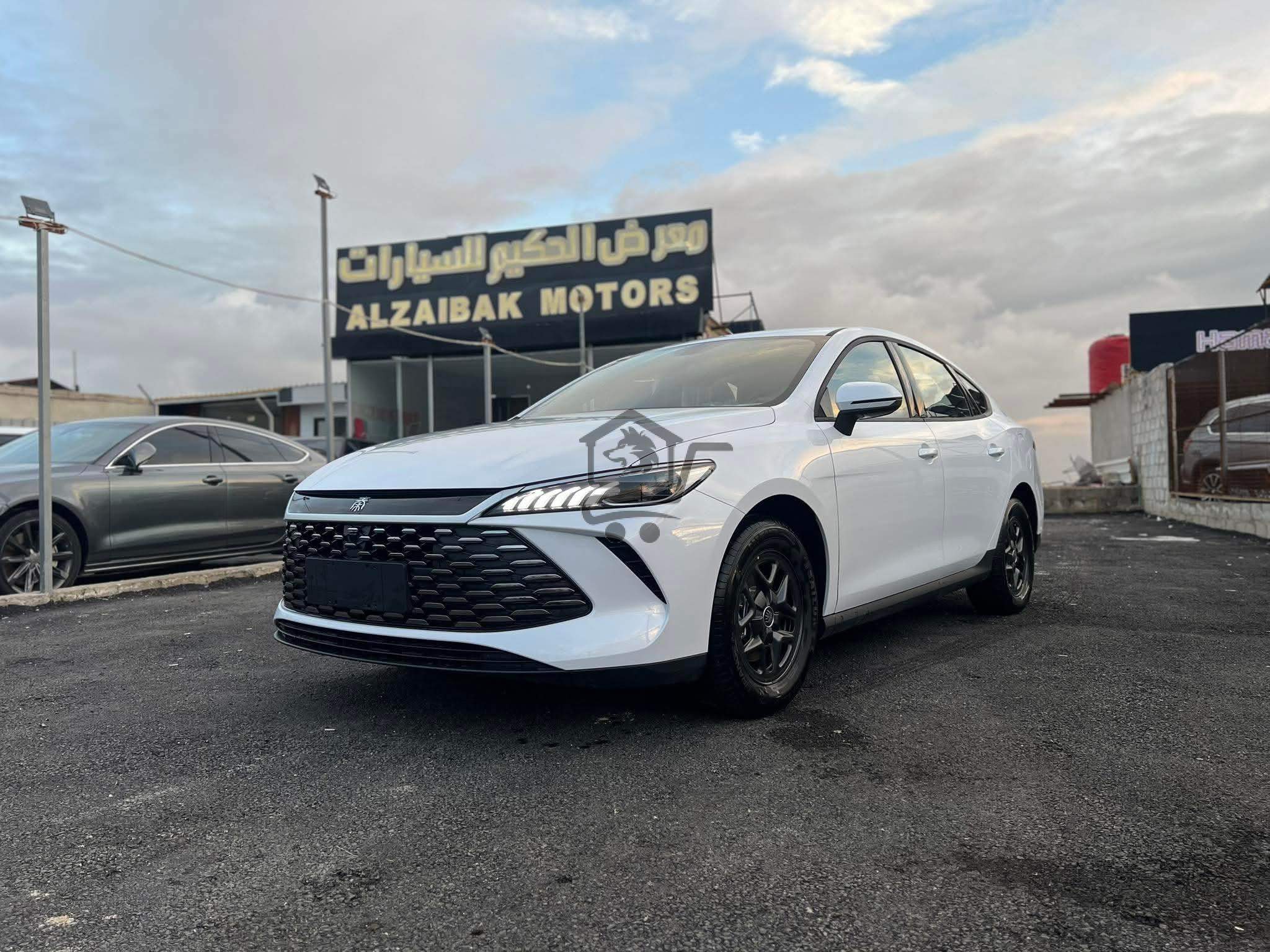 BYD QIN plus - الصورة 8