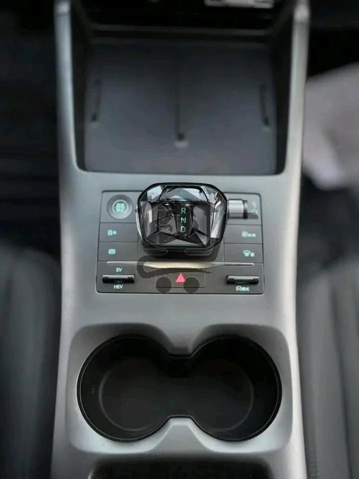 BYD - الصورة 7