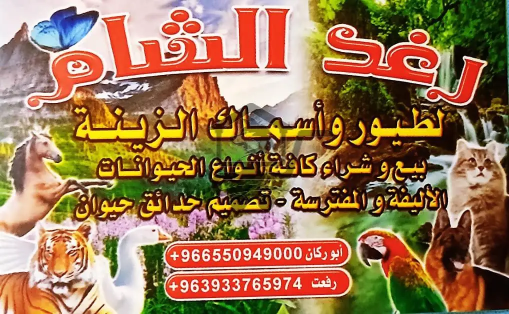 🦜 رغد الشام – عالم الطيور والأسماك والزينة 🐠