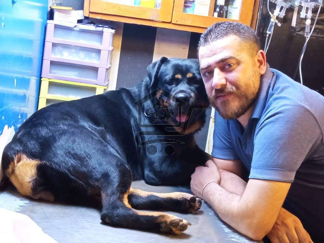 Pet Store Bashar Salmo - الصورة 2