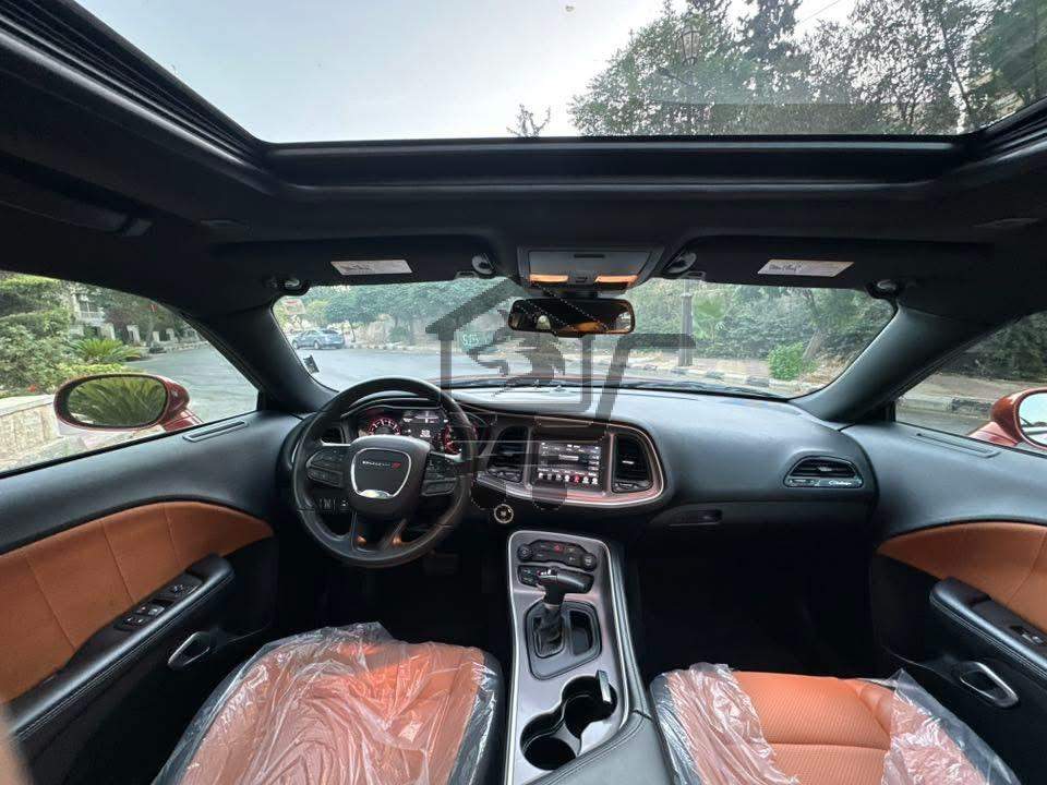 Dodge - الصورة 3