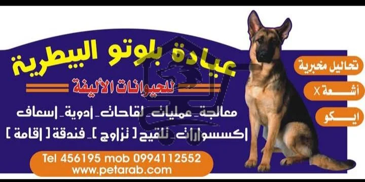 عيادة بلوتو البيطرية