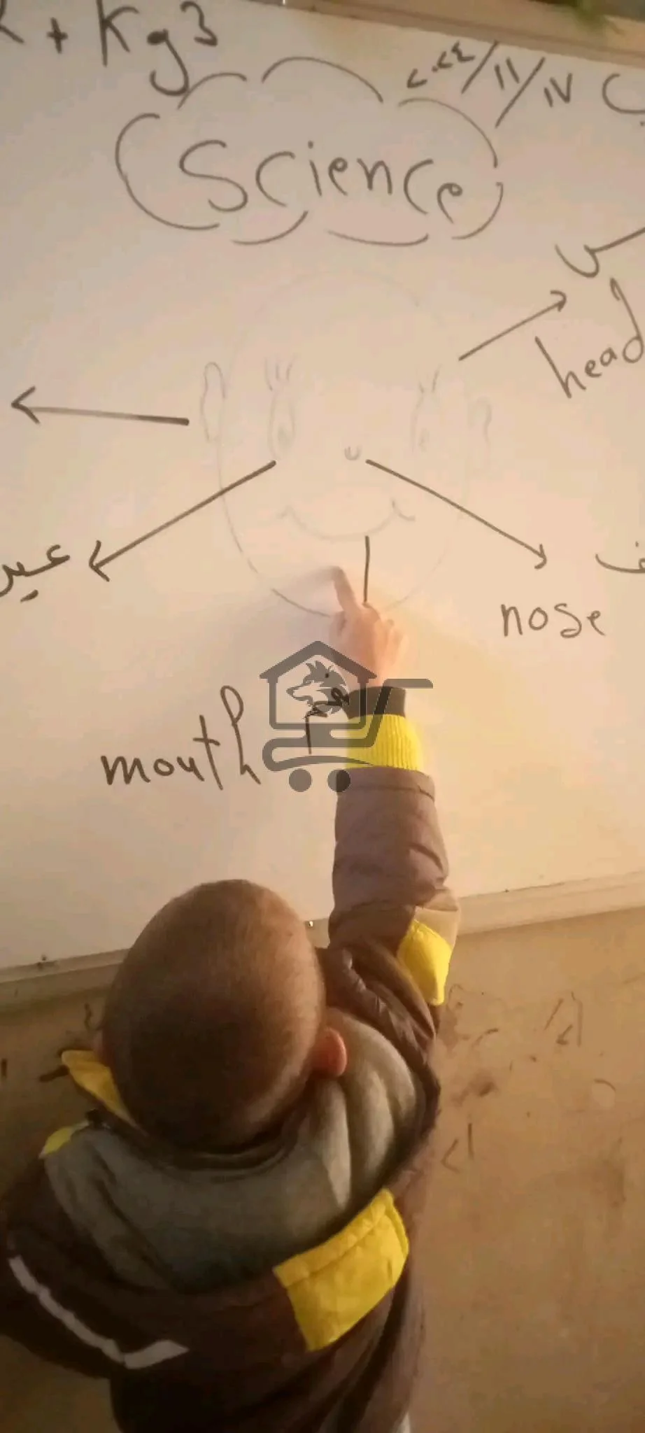 معهد المستقبل(معهد الورود) - الصورة 3