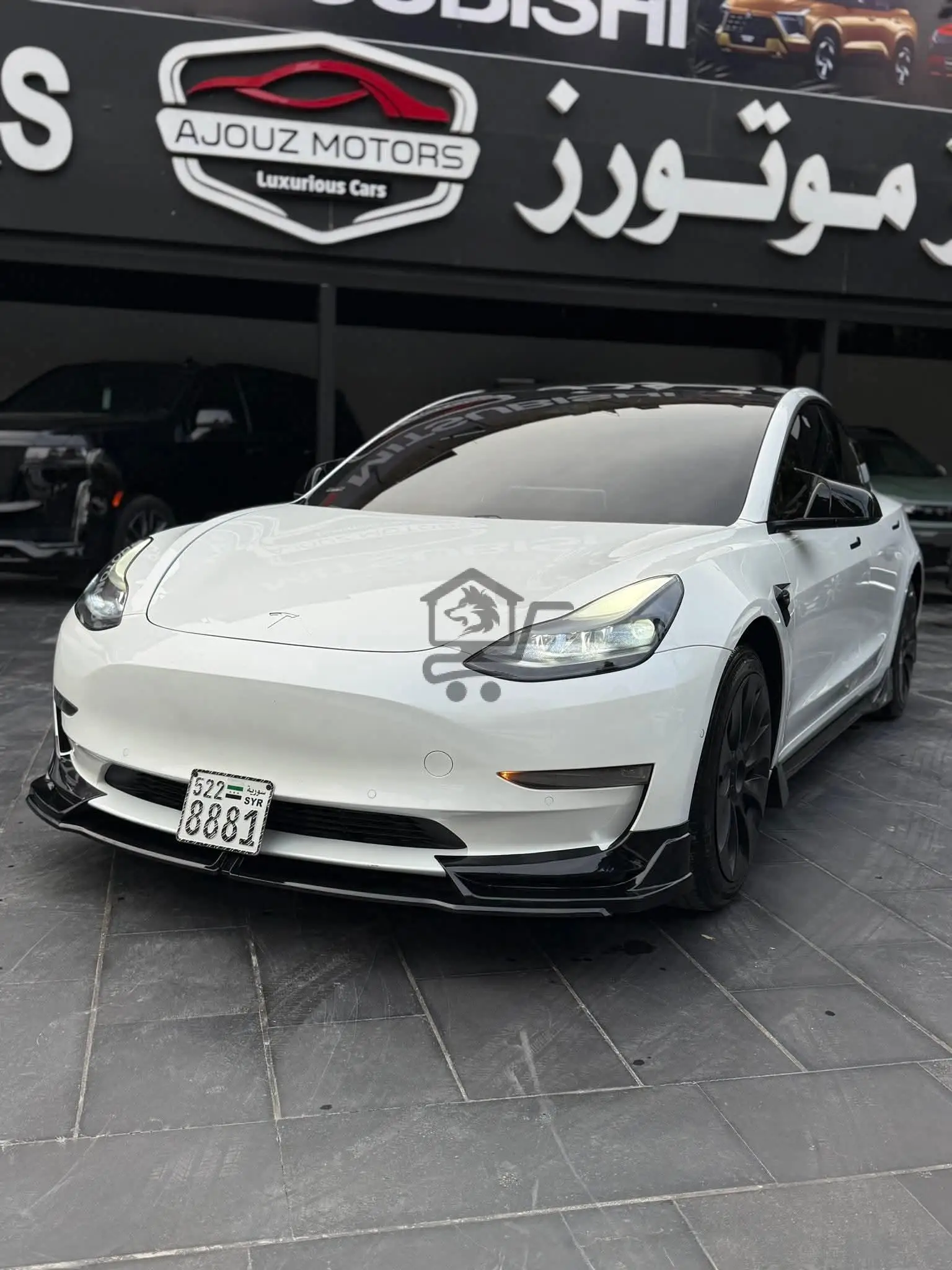 TESLA - الصورة 8