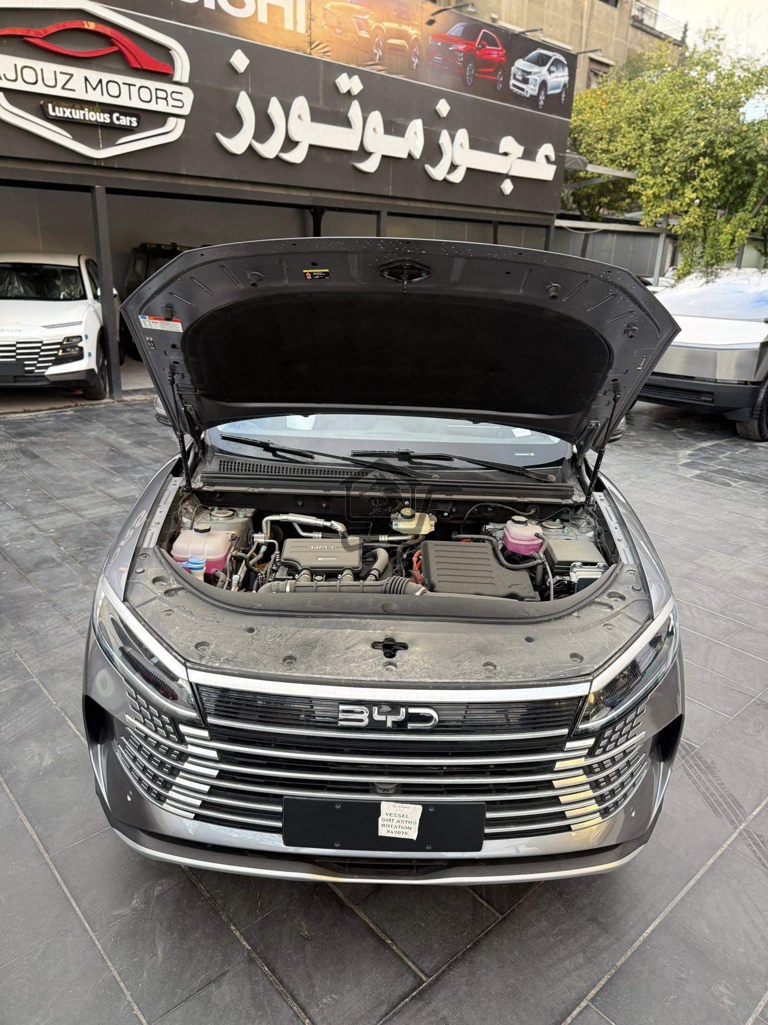 BYD - الصورة 6