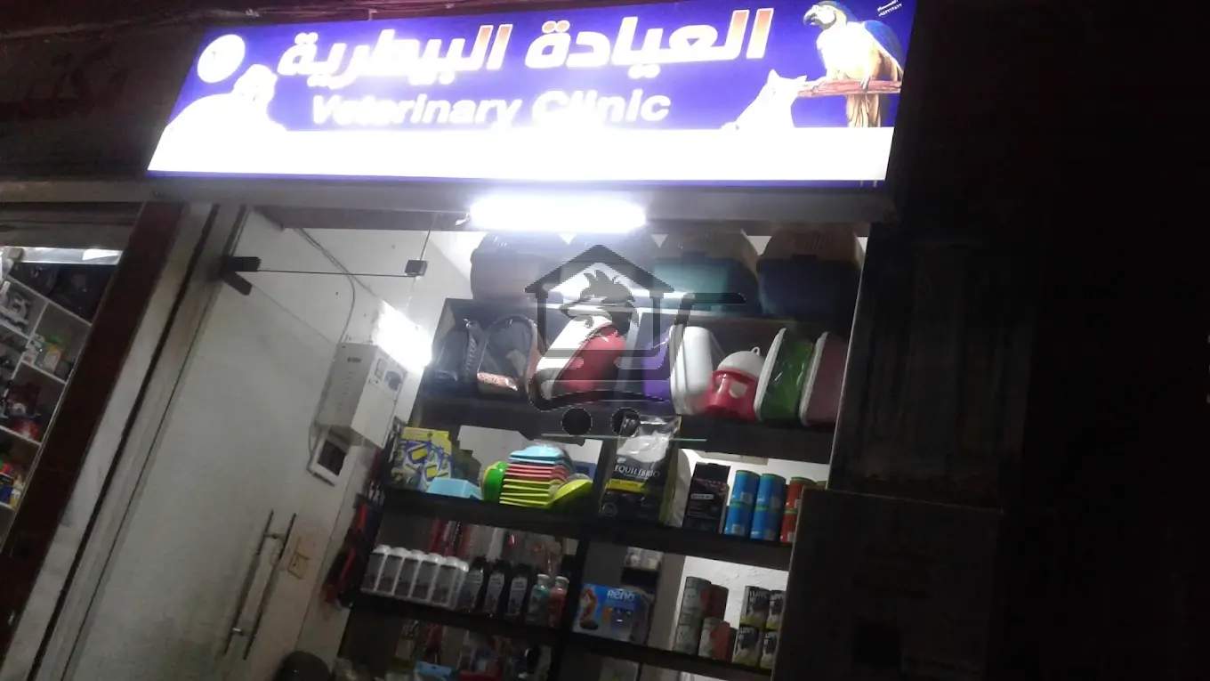 العيادة البيطرية. الدكتور ربيع داود - الصورة 2