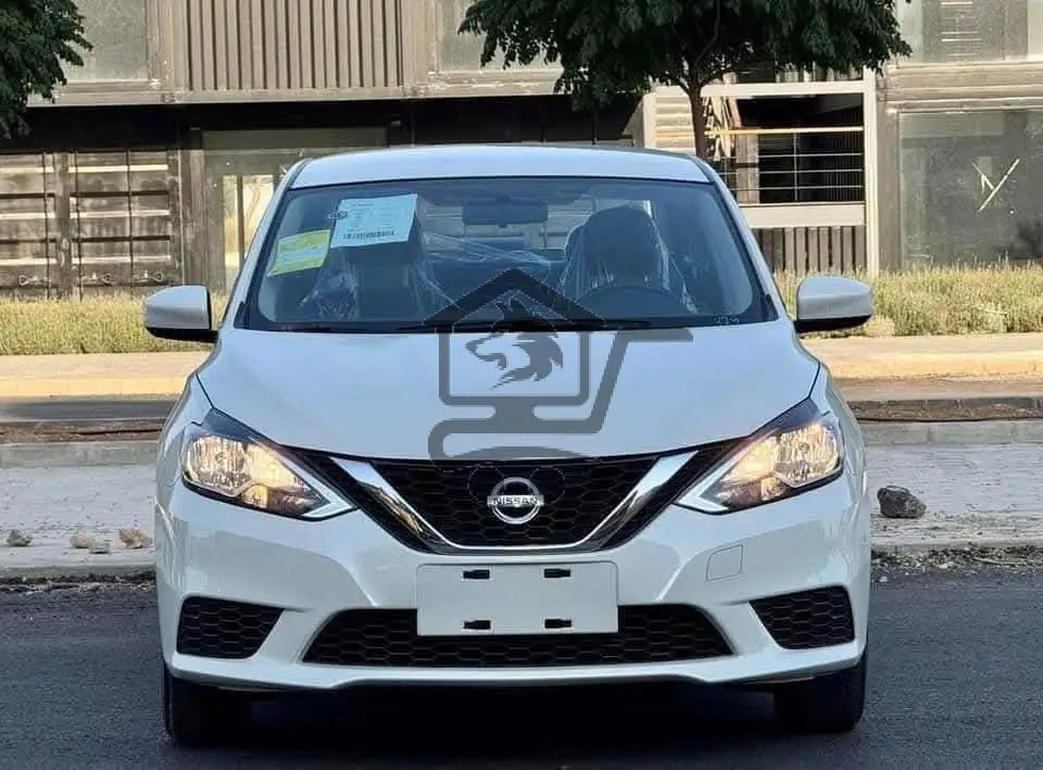 نيسان سيلفي 2025 - الصورة 7