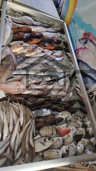 مسمكة السعود أبوكف - الصورة 2