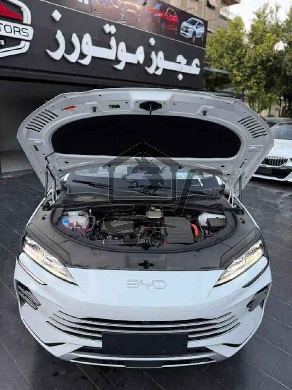 BYD Song L - الصورة 5