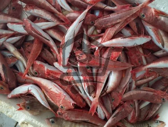 مسمكة ومطعم الكرم - الصورة 3