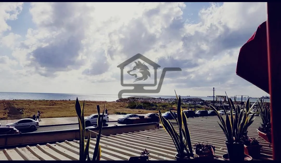 مطعم Havana - الصورة 4