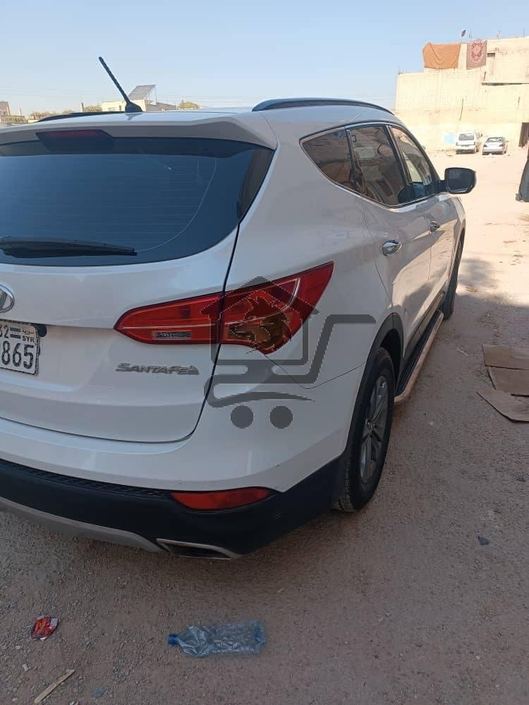 دي ام  2013 - الصورة 2