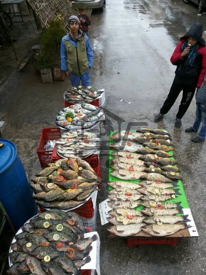 مسمكة عساني - الصورة 1