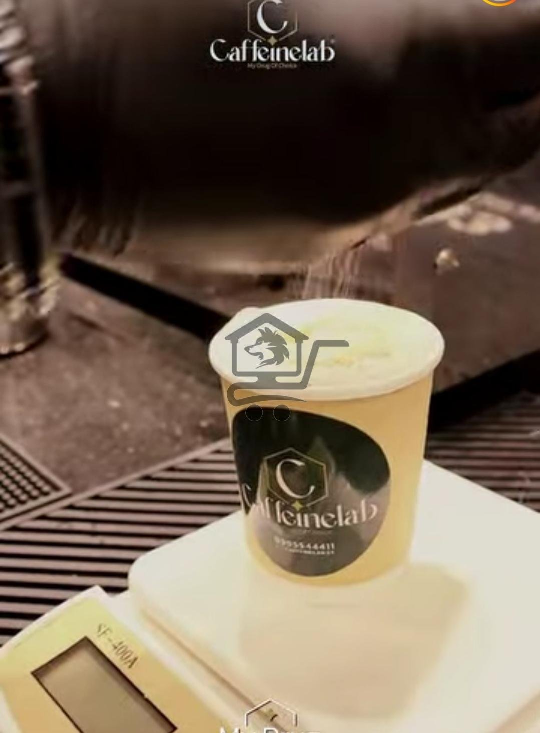 Caffeine lab - الصورة 5