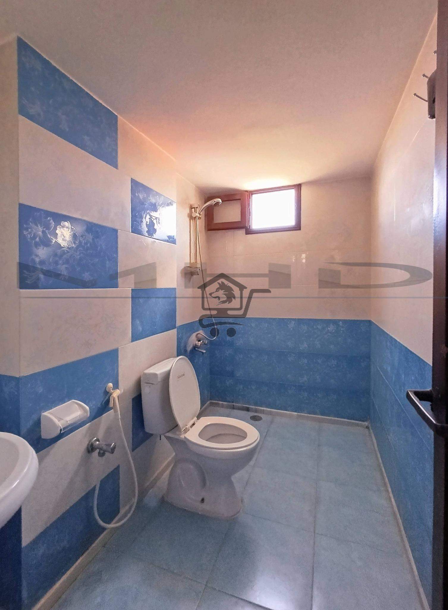 طـرطـوس الـجـديـدة - الصورة 4