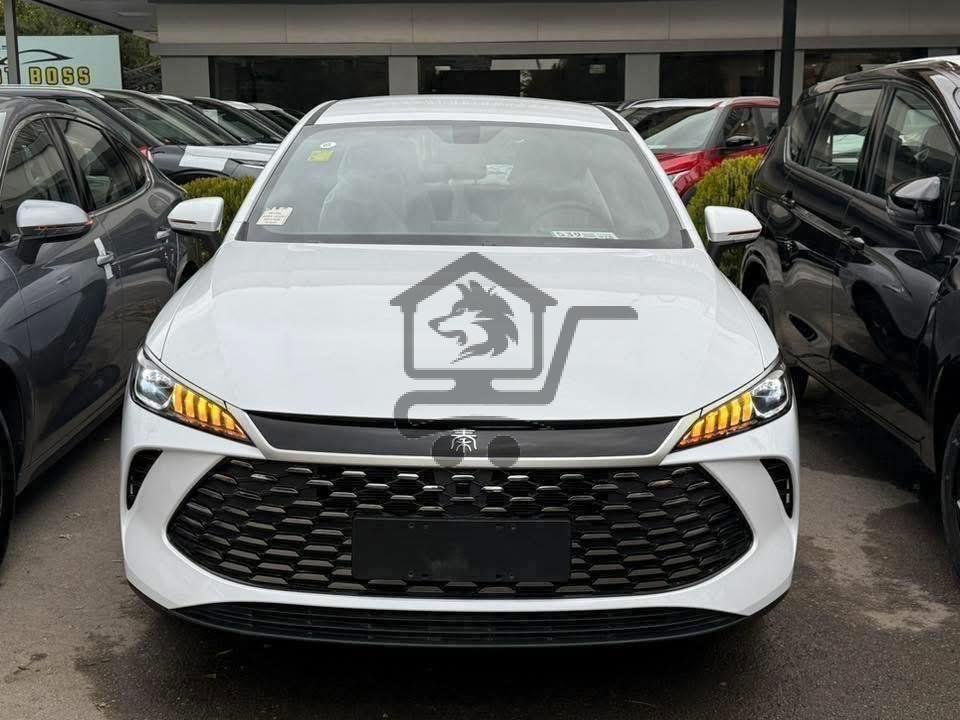 BYD - الصورة 1