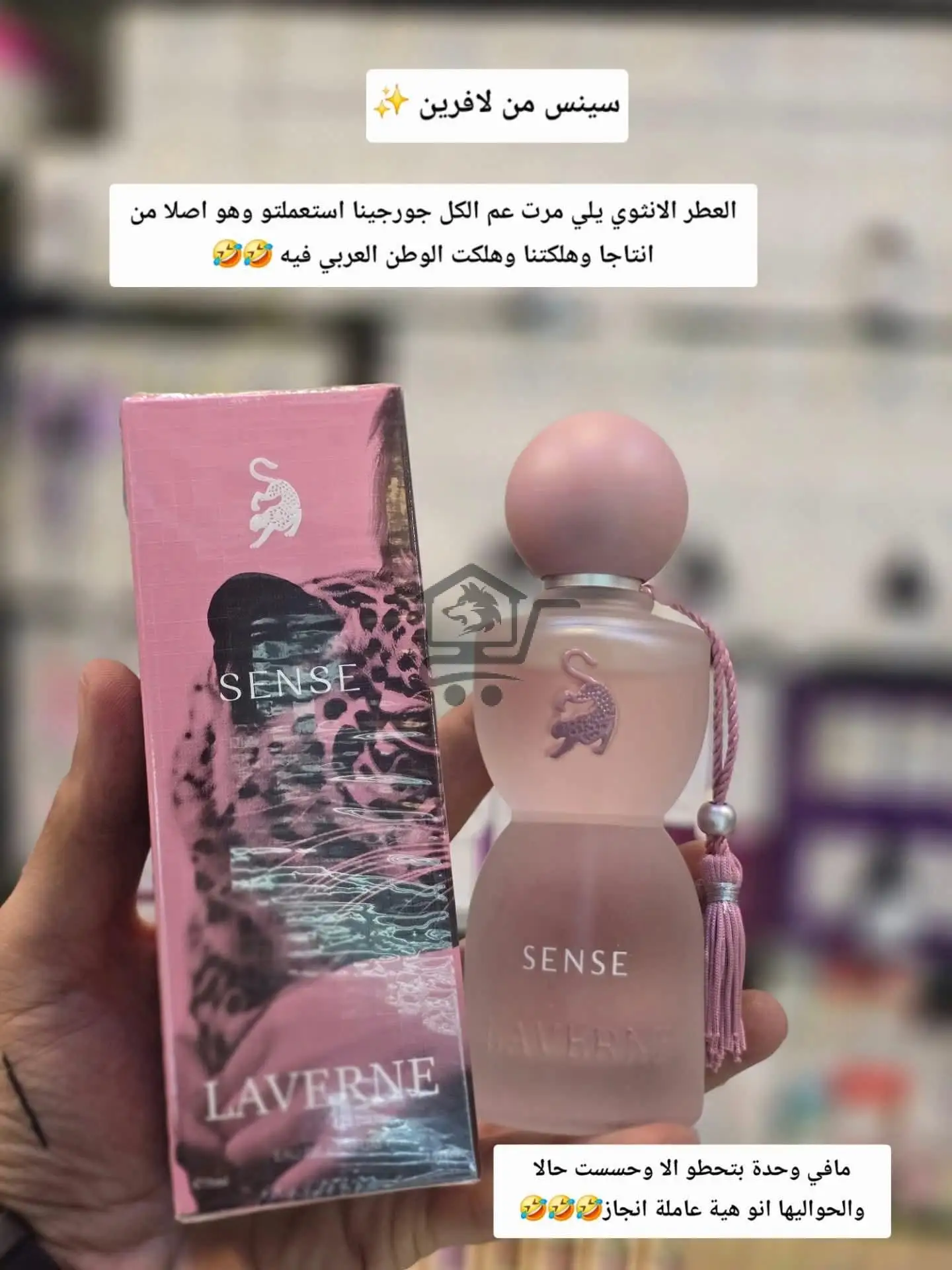 عرض عطورات - الصورة 6