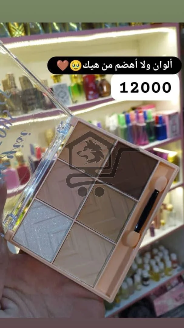 هايلاتر و آيشادو - الصورة 6