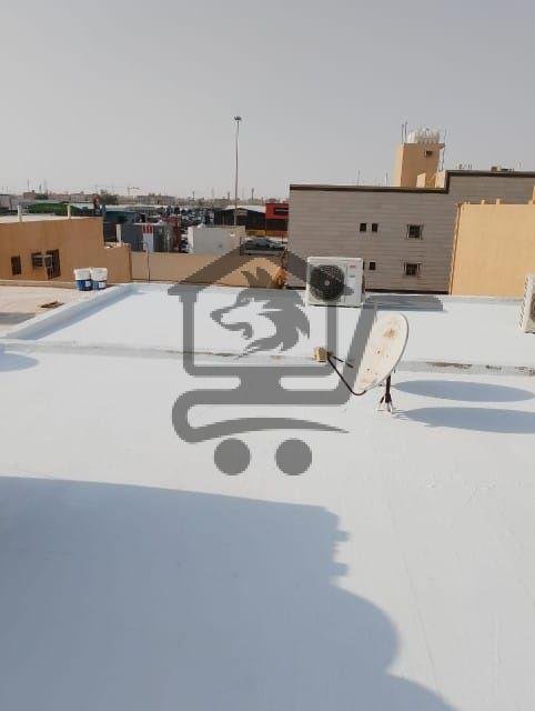 معلم ابو علي - الصورة 6