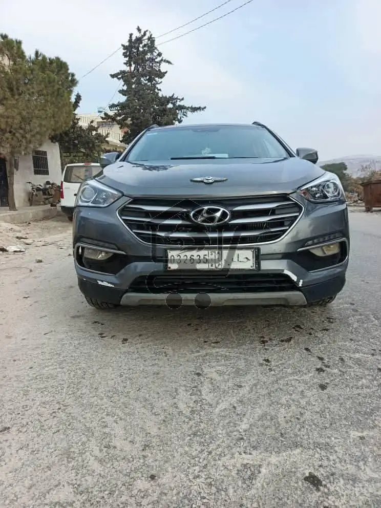 دي ام 2016 - الصورة 6