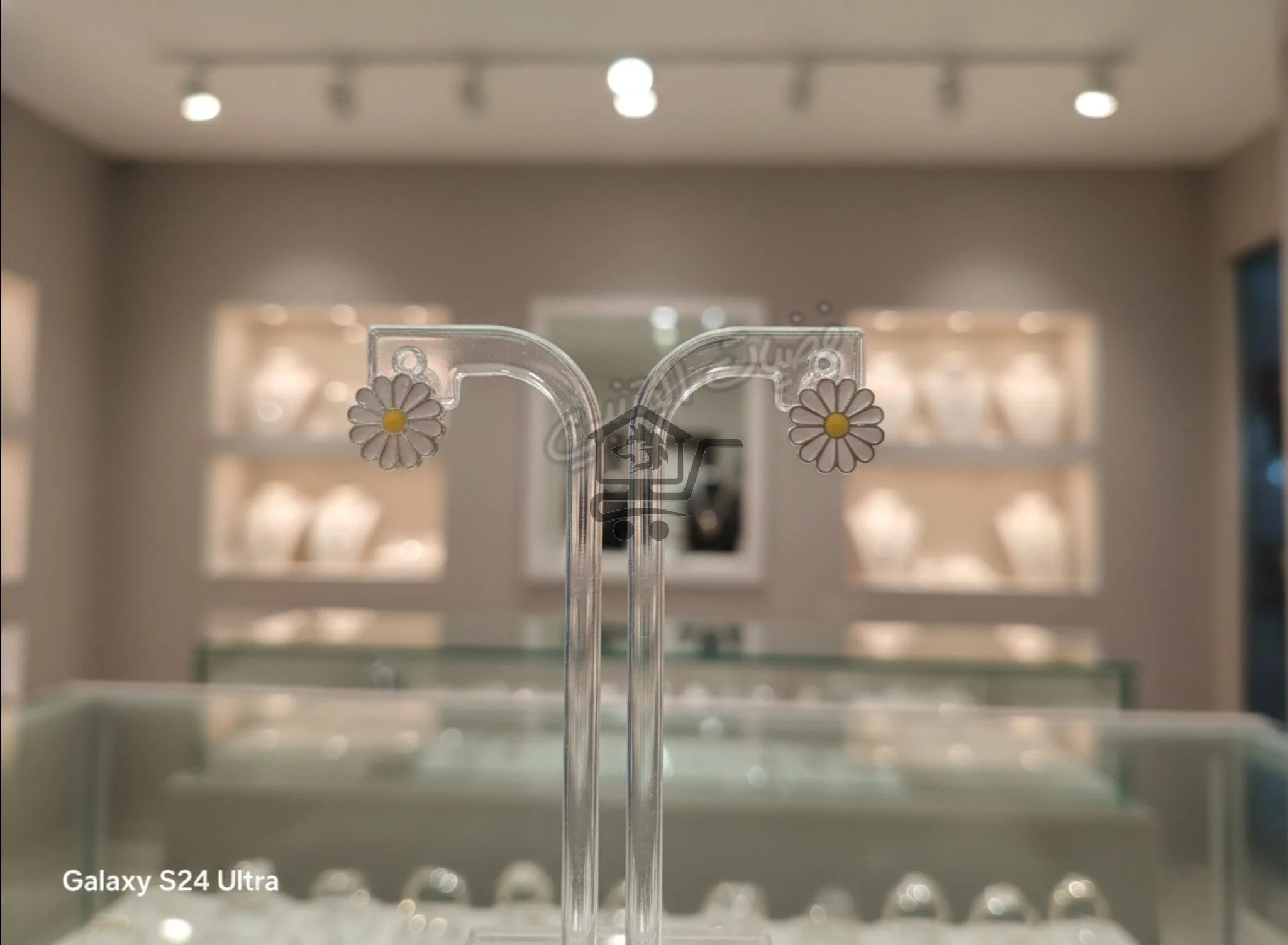 فضيات المتنبي - الصورة 5