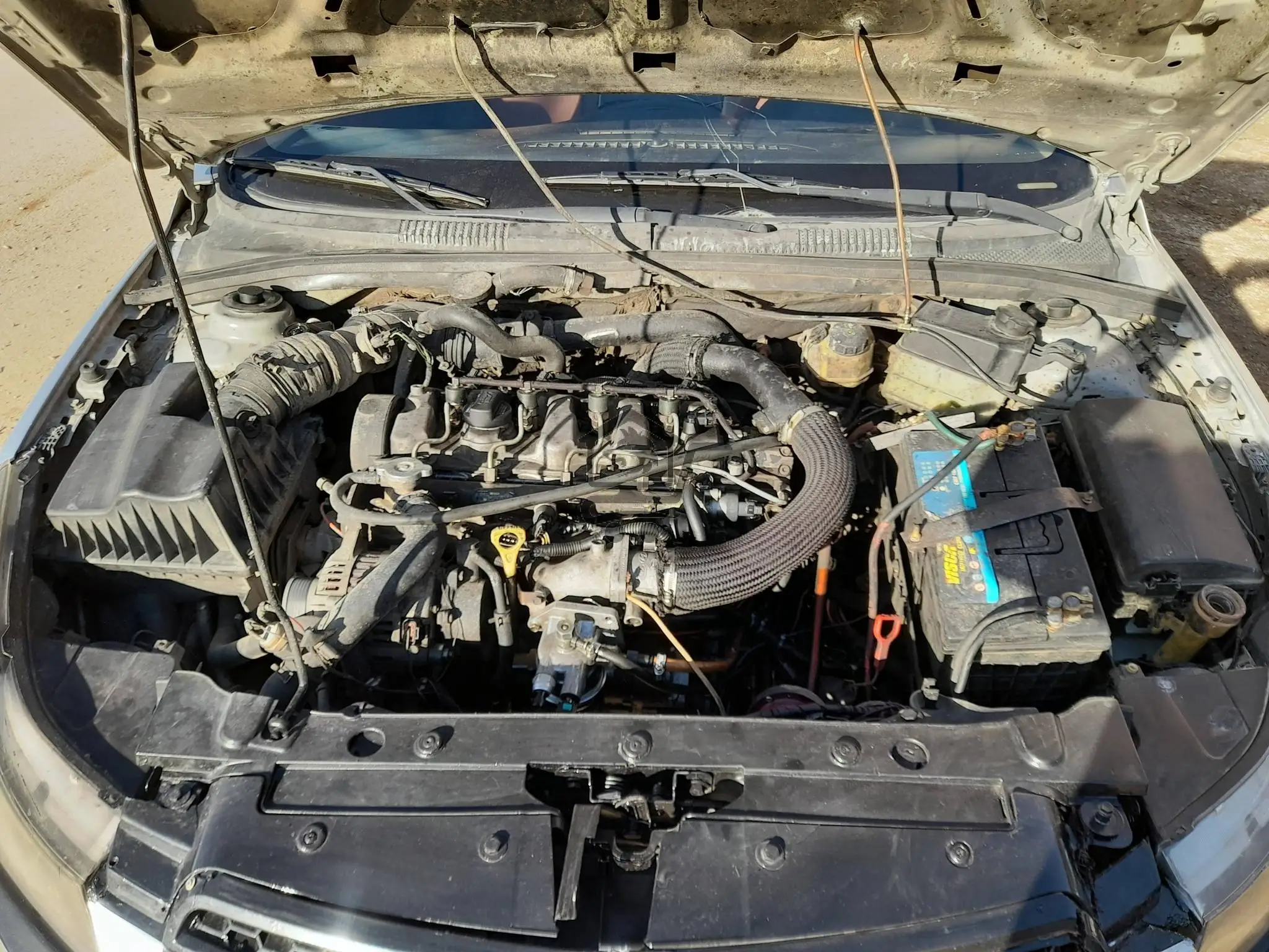 شفر كروز  2010 - الصورة 9