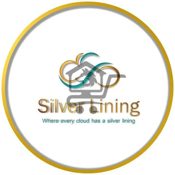 Silver Lining - الصورة 1
