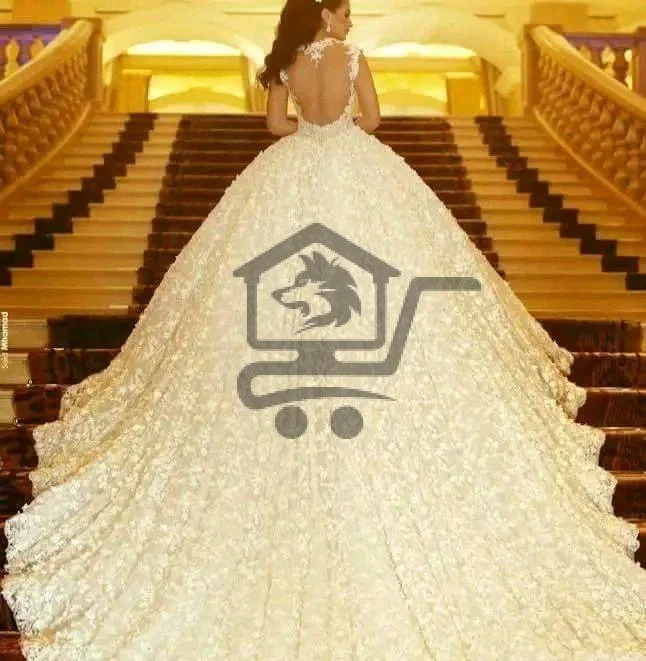 صالون الخلود