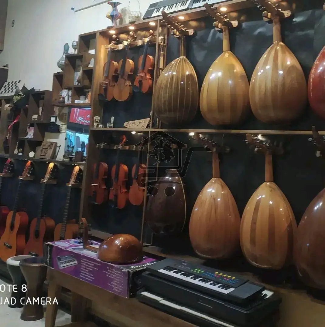 معهد سوناتا-Sonata Institute - الصورة 4