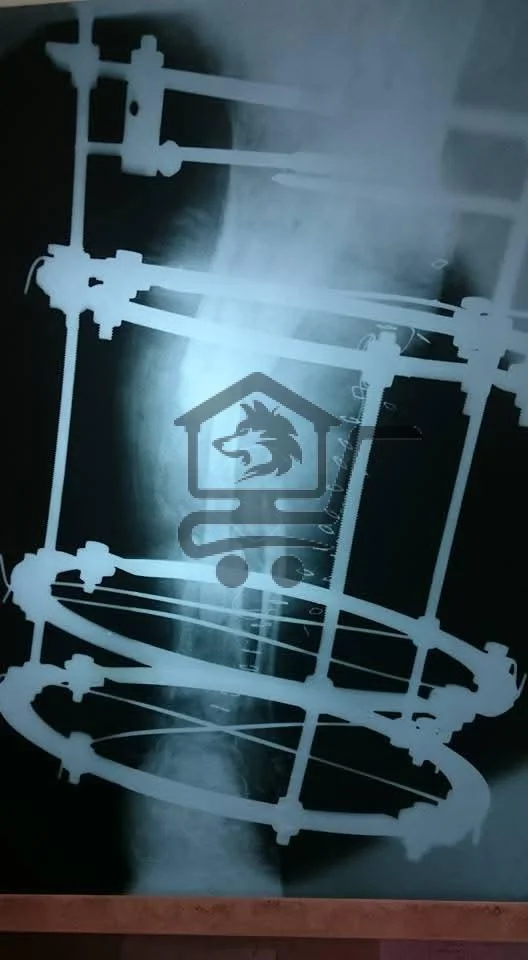 د.محمود طبال