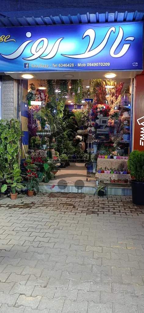 Tala Rose - الصورة 1