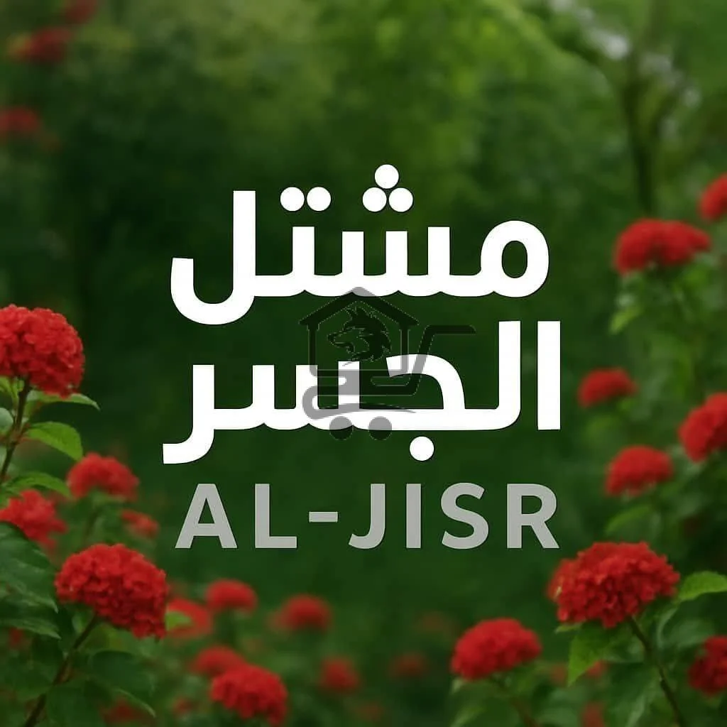 مشتل الجسر - الصورة 1