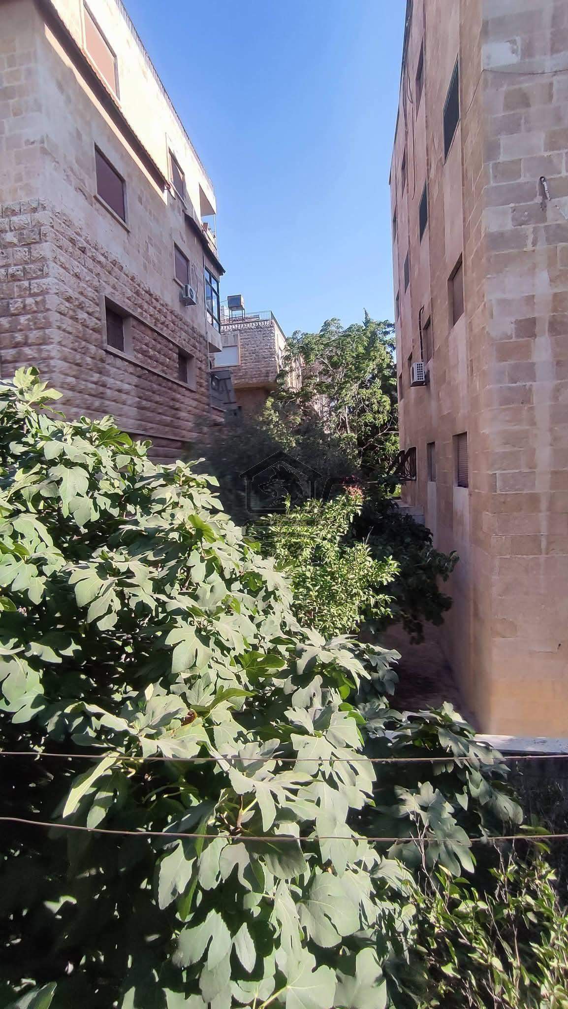 منزل مميز - الصورة 3