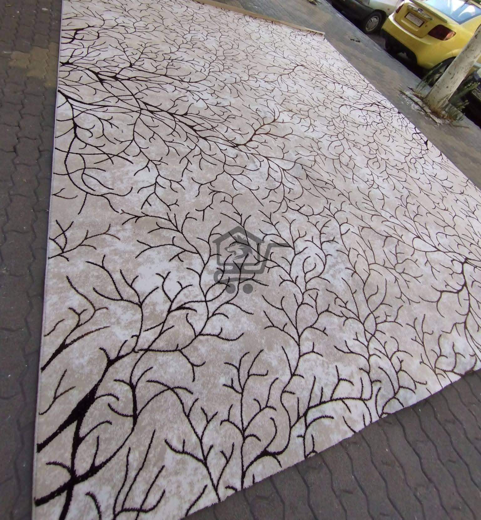 سجاد صيدا - الصورة 5