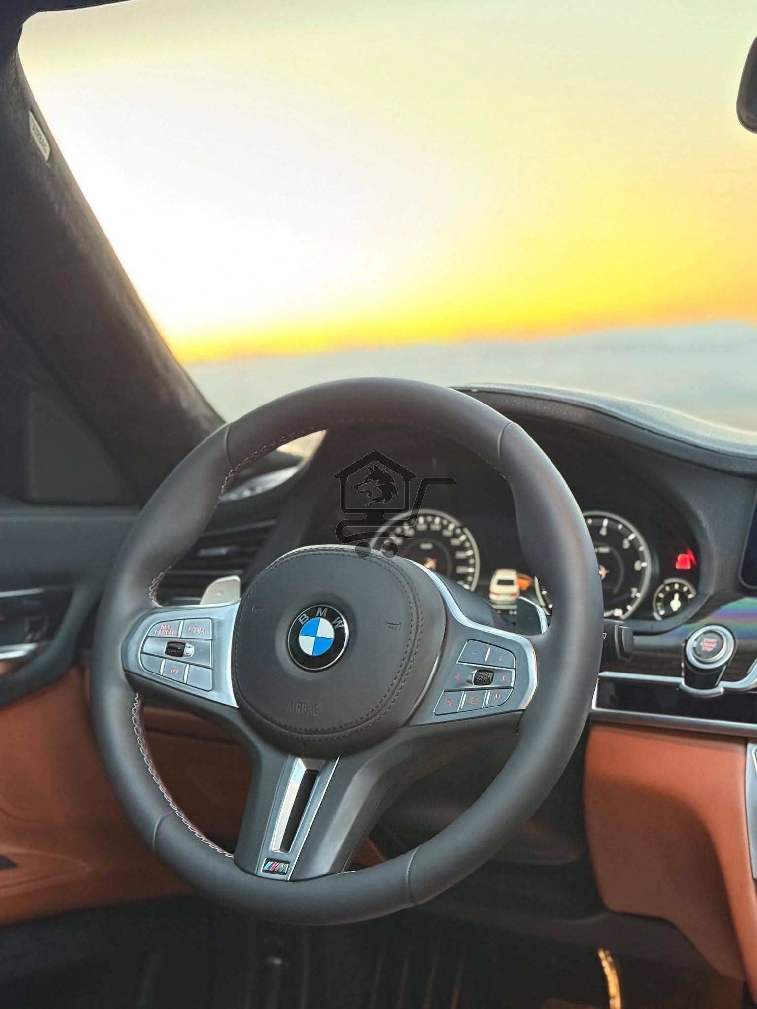 BMW 740Li 2010 - الصورة 7