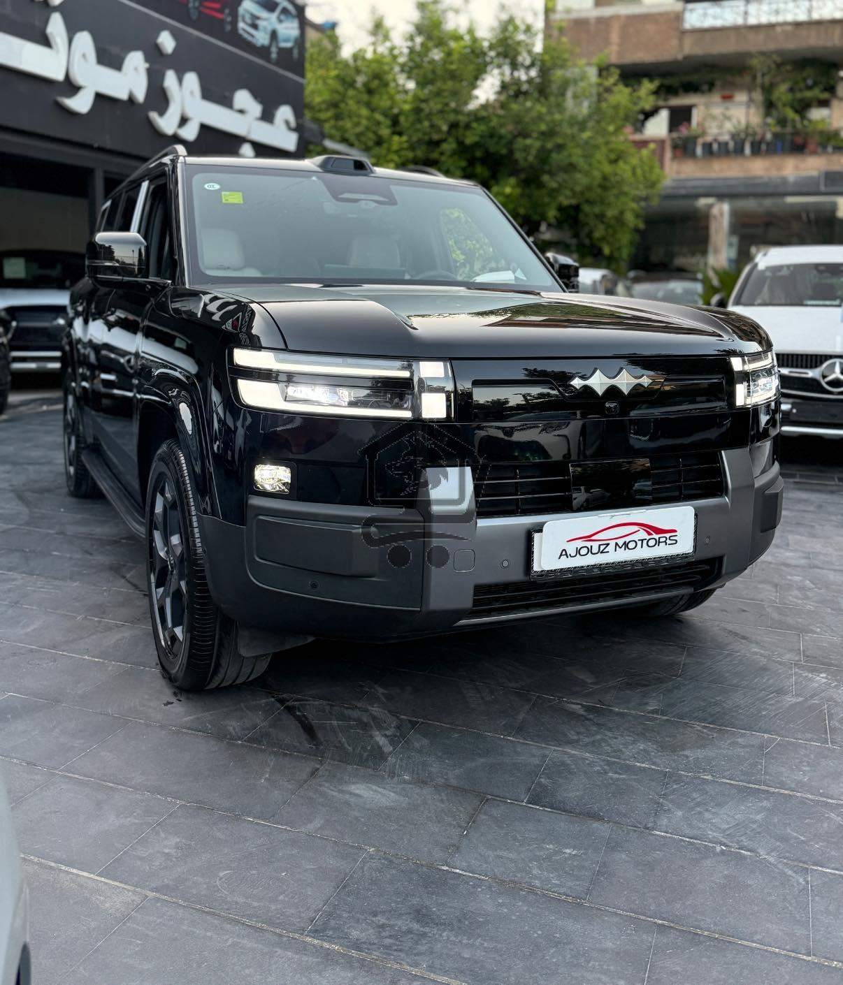 BYD Leopard 7 - الصورة 3