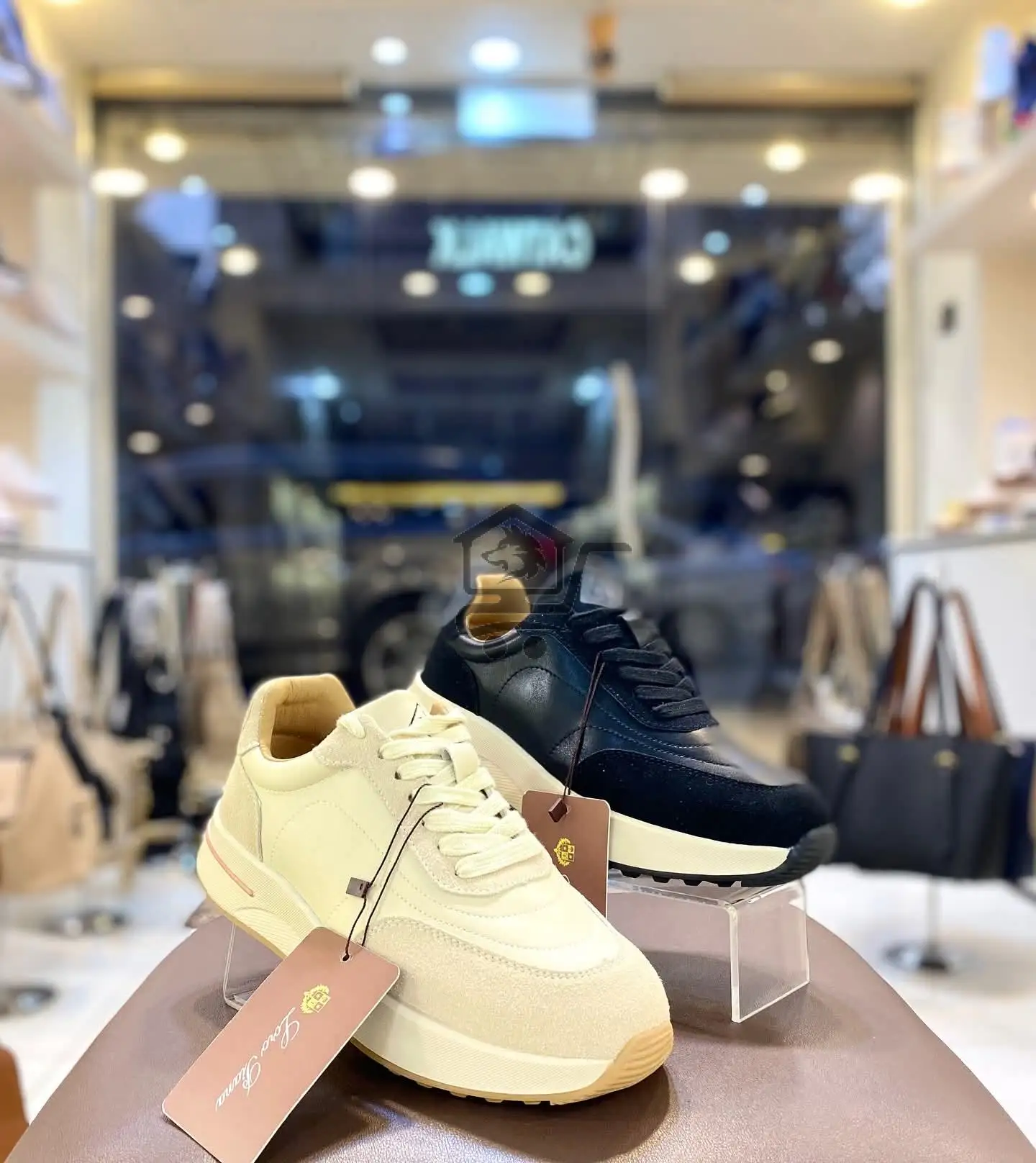 Catwalk - الصورة 2