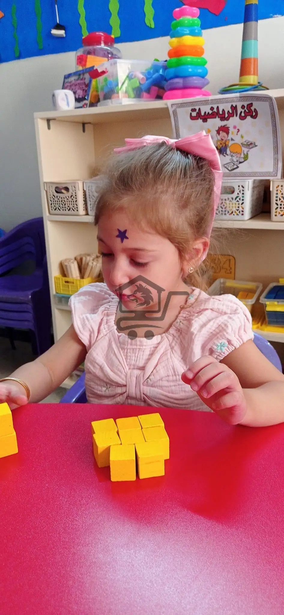 روضة البشائر - الصورة 2