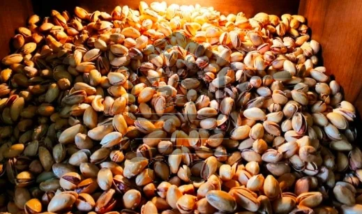 محمصة وضيافة باباي - الصورة 2