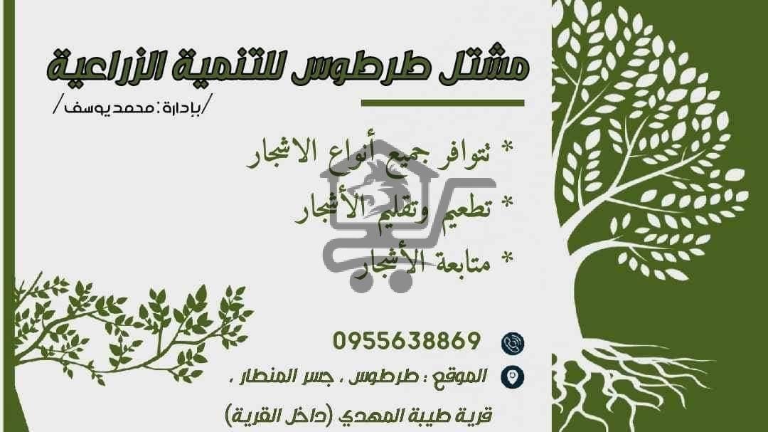 مشتل طرطوس للتنمية الزراعية - الصورة 2