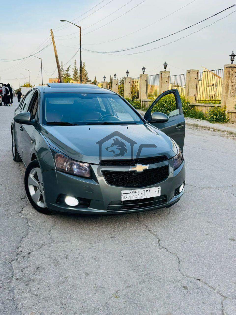 شفر كروز 2010 - الصورة 1