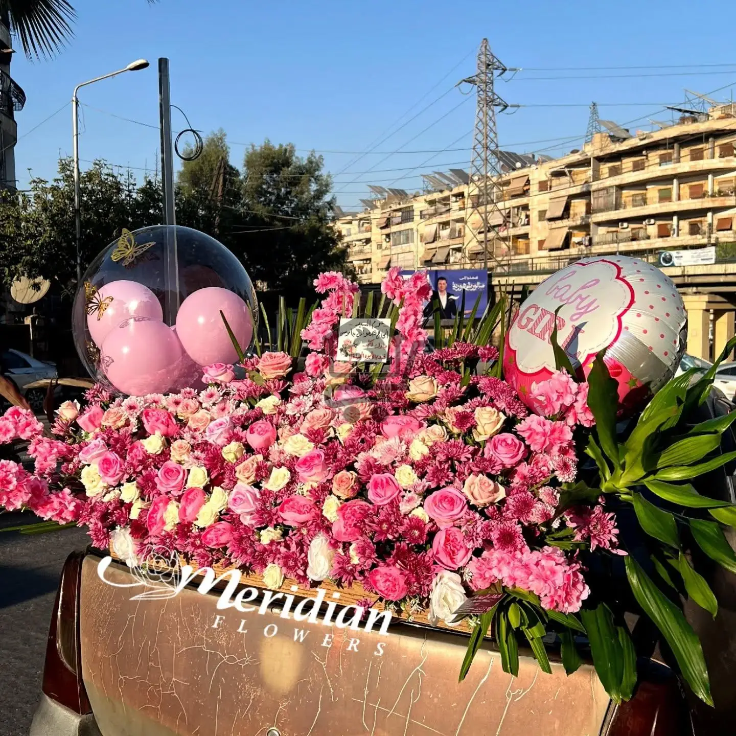 أزهار الميريديان - الصورة 6