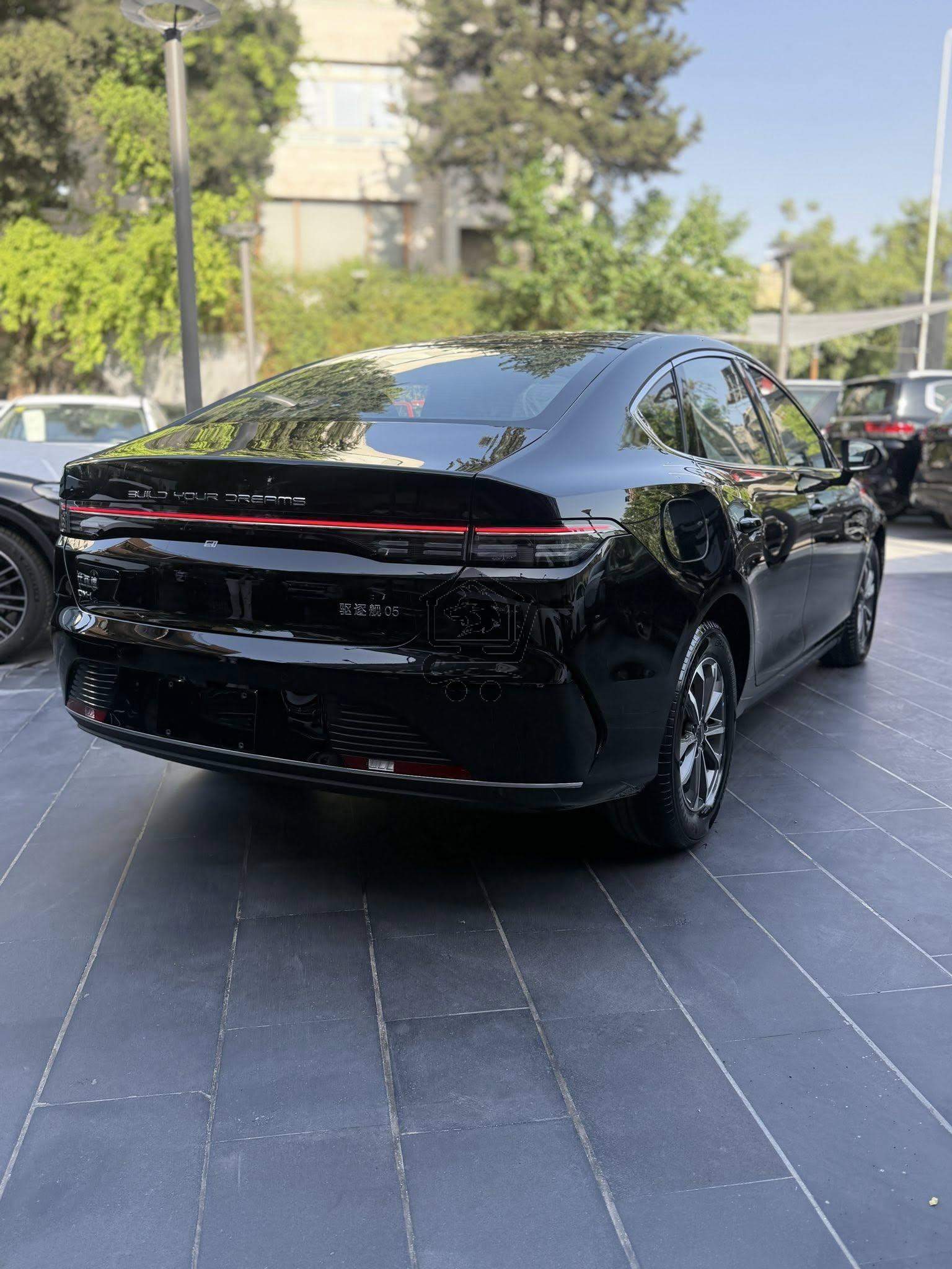 BYD Destroye 2025 - الصورة 4