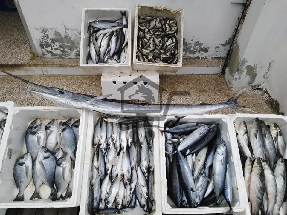 مسمكة ثمار البحر - الصورة 2