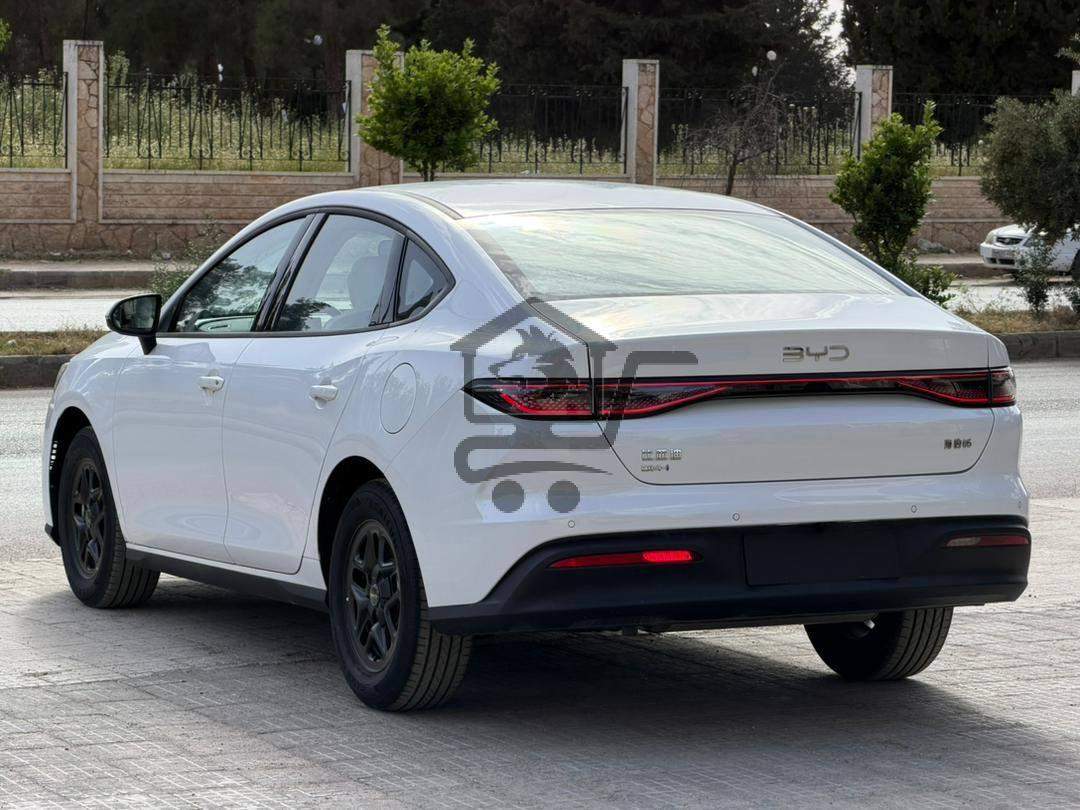 BYD Qin Plus 2025 - الصورة 4