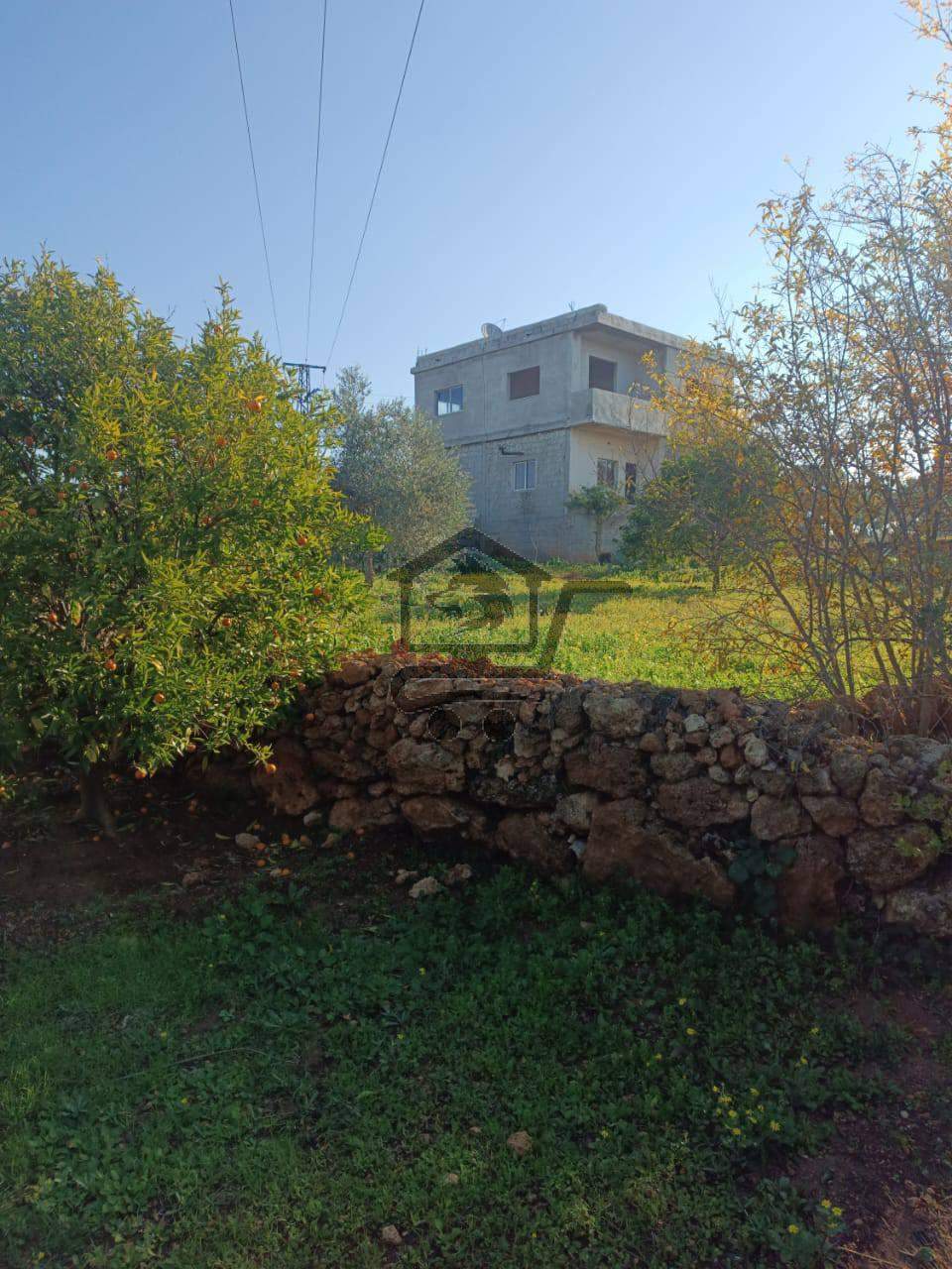 عرض ضمن اسطامو - الصورة 2