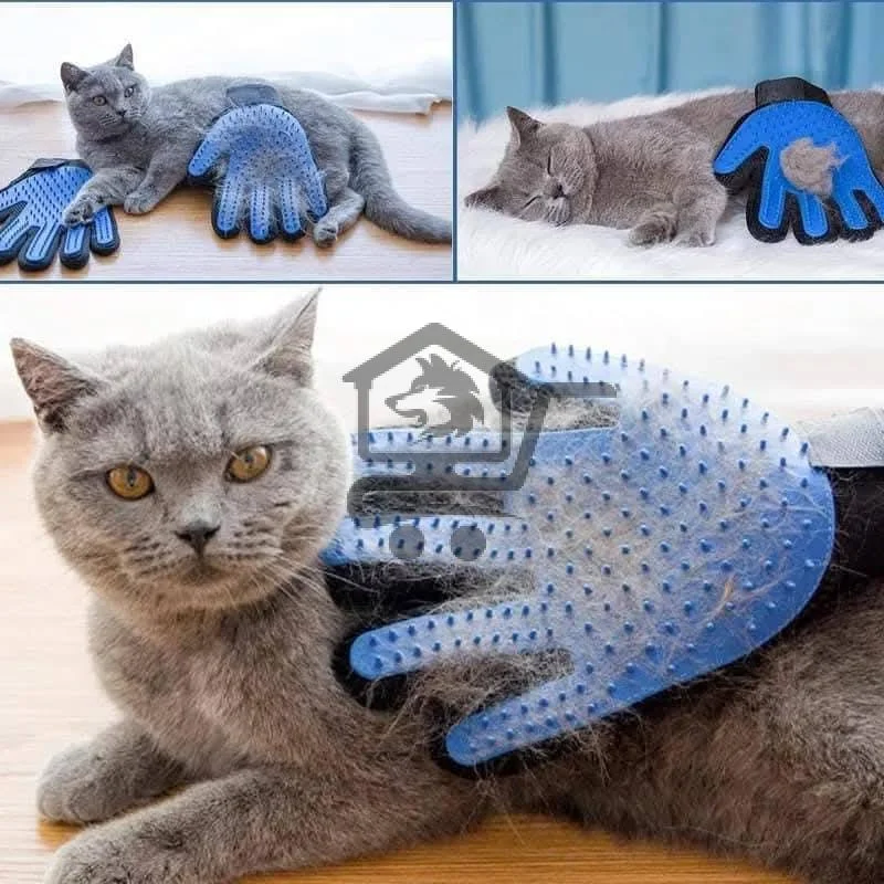 مشاط شعر القط - الصورة 1