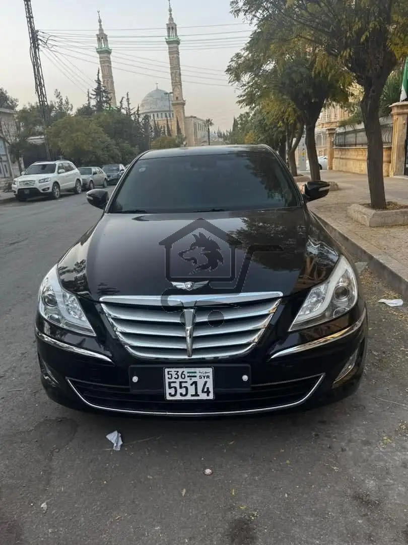 جينسس درجة أولى